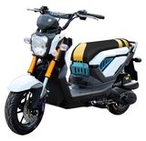 Mini Gas 50cc Racing Woman Street Scooter (SY50T-13)