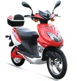 350W Electric Scooter(TDR688Z)