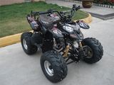 110CC ATV (KWS8-Q110)