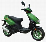 EC Gas Scooter (WJ50QT-9A)