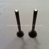 China Cheap Gy6 Engine Valve for 50cc Moped ATV (EG006)