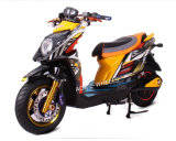 Powerful 2000W Racing Bike Electric Motorcycle (EM-002)