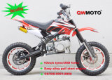 49CC Mini Dirt Pit Bike for Kids with Alloy Pull Starter CE