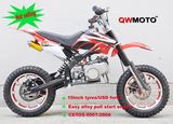 49CC Mini Dirt Pit Bike for Kids with Alloy Pull Starter CE