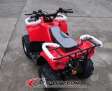 Hot Selling New 110cc ATV (AT1103)