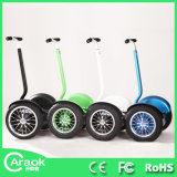 China Factory Electric Vehicle Electric Scooter