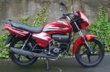 Motorcycle/Street Bike/ Dirt Bike/ off-Road/Enduro Bike/Hero 100 (SP110-10) 