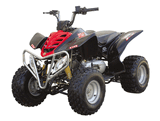 ATV/Quad (WJ150ST-2)