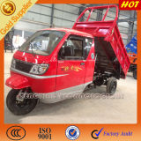 Hot Selling & Full Enclosed Cabin for Open Cargo Box
