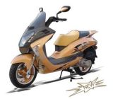 Motorcycle (ZT150-9 EEC)