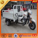 New Gasoline Three Wheel Cargo Motorcycle