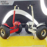 2014 New Design Electric Chariot Hot Sale