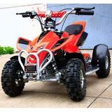 Electric ATV Mini E ATV (CS-E9053)