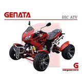 EEC ATV/Quad / 250cc ATV/ Racing ATV / Quad Bike (GT250CB-R)