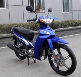 China Motorcycle 110cc, 120cc, YAMAHA Type Crypton 110