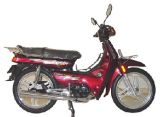 Motorcycle(JL100-5A)