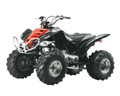 ATV (200cc, 250cc Raptor Model)