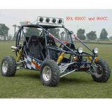 EPA 800CC Go Kart (FY-GC-238)