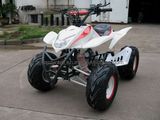 110CC ATV (HD-90)