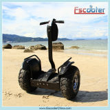 Hot Sale China Escooter, 2 Wheels Electric Mobility Scooter with CE