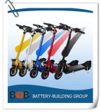 Most Popular Portable Folding Electric Scooter for Adults