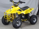 110CC ATV Quad with 6 Inch Wheel with CE (ET-ATV047)