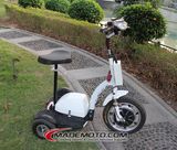 Three Wheel Electric Scooter