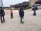 One Wheel Electric Unicycle Scooter for Travel