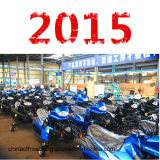CE Approved 200cc Snowmobile (DMSM200-01)