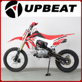 Upbeat Racing Pit Bike Sport Dirt Bike Moto 125cc/140cc Sdg Frame