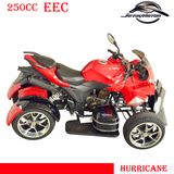 New Design 250cc Quad