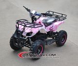 500W Electric ATV with Reverse Gearshift for Kids (EA0508)