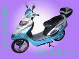 Electric Bicycle -10