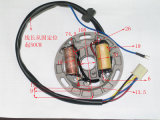 Motorcycle Parts-Motorcycle Stator Comp (AX-100)