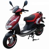 50cc-150cc EPA / DOT Scooter (GS-809)