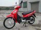 Cub Motorcycle (SJ110-10C)