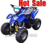 50cc / 70cc / 90cc / 110cc ATV / Kids Quad (ATV DR714)