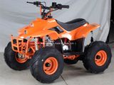 110CC ATV with 7 Inch Big Wheel (ET-ATV006)