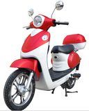 Electric Scooter (TDR48K72)