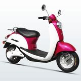 600W / 1000W Electric Scooter