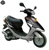 Cheap Hot Sell Gas Scooter