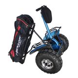 2016 Latest Outdoor Sport Two Wheel Electric Scooter Golf Gart/Golf Mobility Scooter