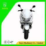 China 2014 Hot Sale 80cc Scooter (Storm-80)