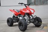 Air Cooled 250CC ATV (QW-ATV-08C)