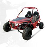 150cc Adult Automatic Go Kart (DMB150-05)