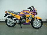 Dirtbike (JL150-2)