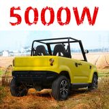 5kw Electric Utility Vehicle (DMEU-03)
