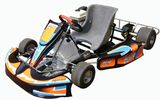 Go Kart 200CC Honda Engine 5.5HP Wet Clutch (ADP1101(W))