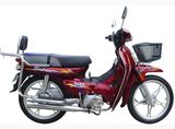 110cc Cub Motorcycle Street Bike (HD110-6D)