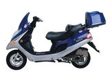 Gas Scooter (AF125T-1)